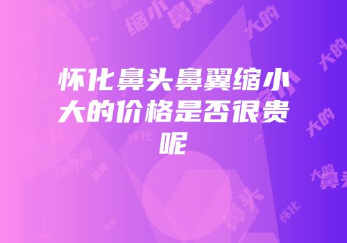 怀化鼻头鼻翼缩小大的价格是否很贵呢
