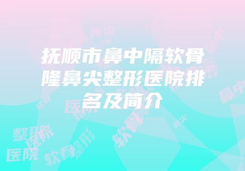 抚顺市鼻中隔软骨隆鼻尖整形医院排名及简介