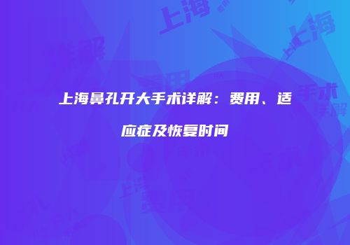 上海鼻孔开大手术详解：费用、适应症及恢复时间