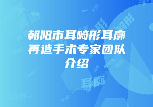 朝阳市耳畸形耳廓再造手术专家团队介绍