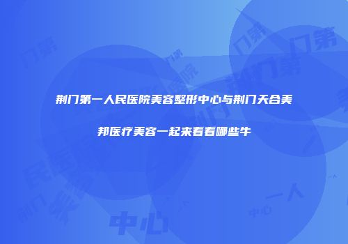 荆门第一人民医院美容整形中心与荆门天合美邦医疗美容一起来看看哪些牛