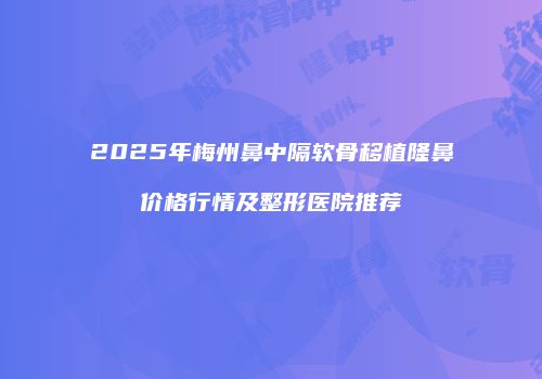 2025年梅州鼻中隔软骨移植隆鼻价格行情及整形医院推荐