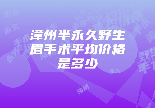 漳州半永久野生眉手术平均价格是多少