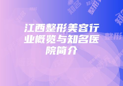 江西整形美容行业概览与知名医院简介