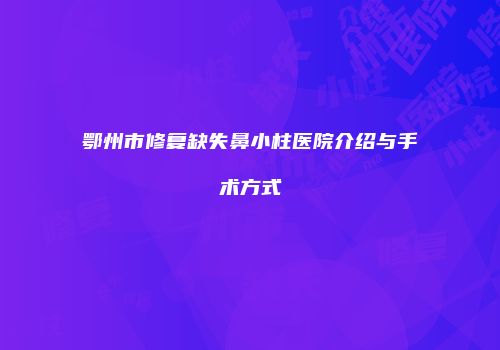 鄂州市修复缺失鼻小柱医院介绍与手术方式