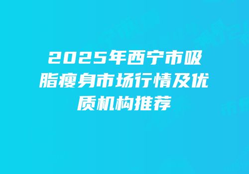 2025年西宁市吸脂瘦身市场行情及优质机构推荐
