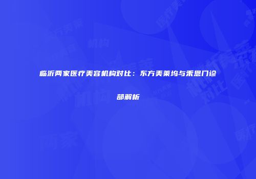 临沂两家医疗美容机构对比：东方美莱坞与禾恩门诊部解析