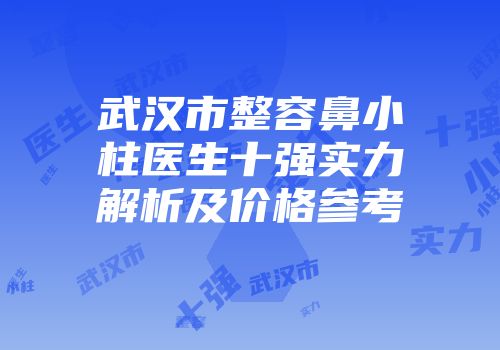 武汉市整容鼻小柱医生十强实力解析及价格参考