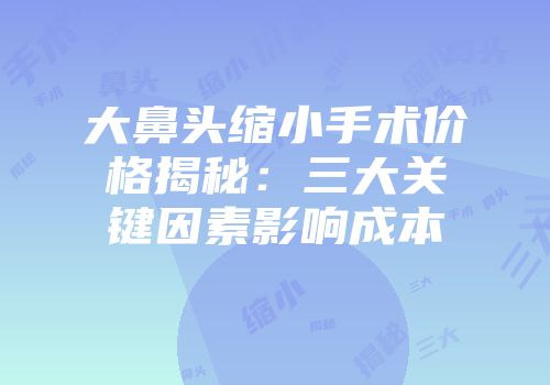 大鼻头缩小手术价格揭秘：三大关键因素影响成本