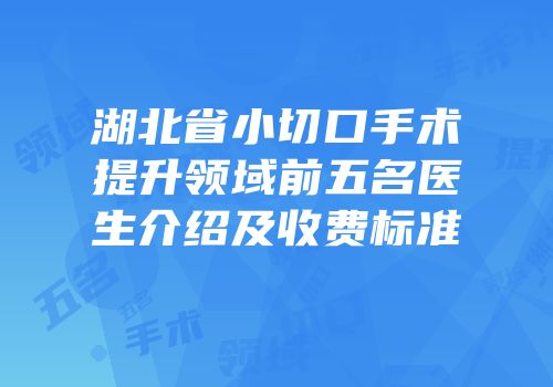 湖北省小切口手术提升领域前五名医生介绍及收费标准