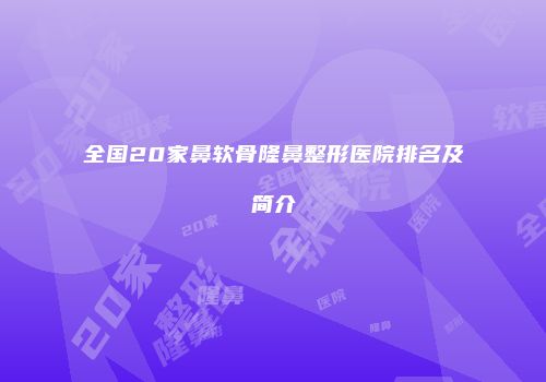 全国20家鼻软骨隆鼻整形医院排名及简介