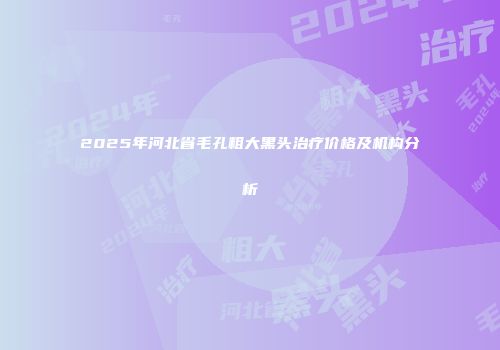 2025年河北省毛孔粗大黑头治疗价格及机构分析