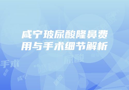 咸宁玻尿酸隆鼻费用与手术细节解析