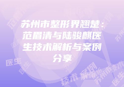 苏州市整形界翘楚：范眉清与陆骏麒医生技术解析与案例分享