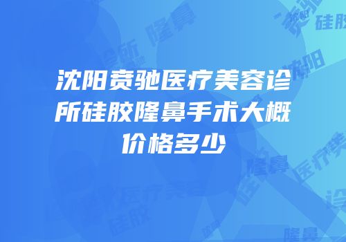 沈阳贲驰医疗美容诊所硅胶隆鼻手术大概价格多少