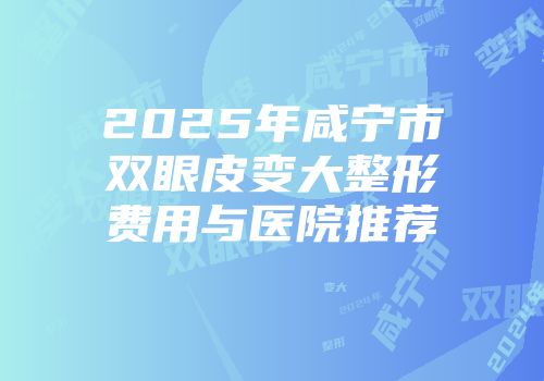 2025年咸宁市双眼皮变大整形费用与医院推荐