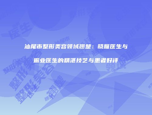 汕尾市整形美容领域翘楚：晓雁医生与振业医生的精湛技艺与患者好评