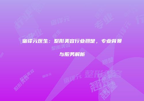 宿译元医生：整形美容行业翘楚，专业背景与服务解析