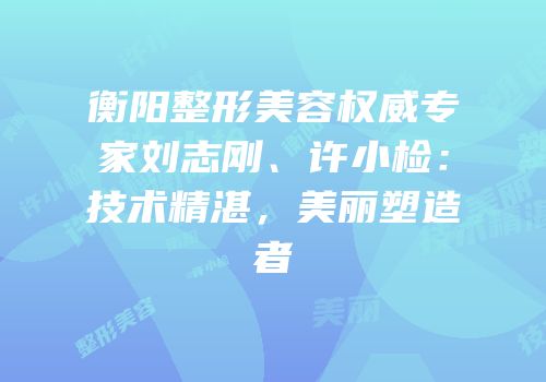 衡阳整形美容权威专家刘志刚、许小检：技术精湛，美丽塑造者