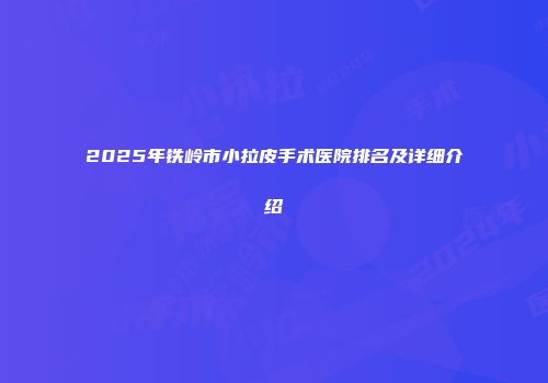 2025年铁岭市小拉皮手术医院排名及详细介绍
