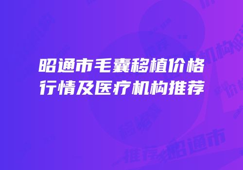 昭通市毛囊移植价格行情及医疗机构推荐