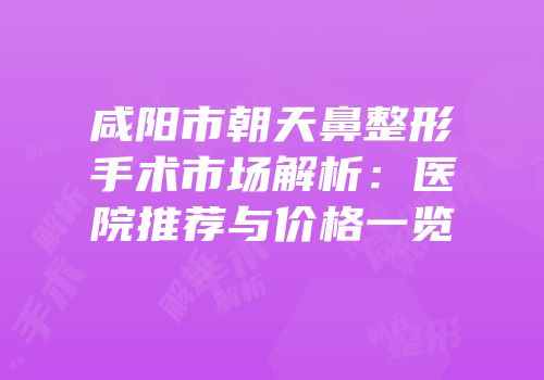 咸阳市朝天鼻整形手术市场解析：医院推荐与价格一览