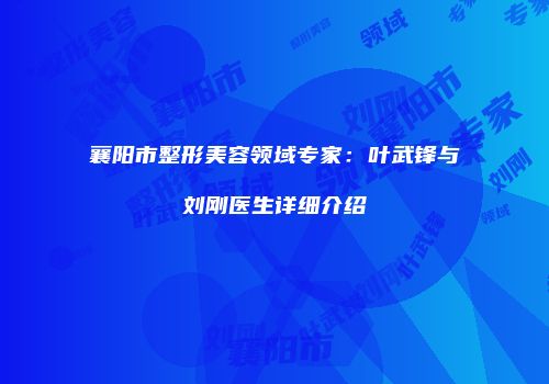 襄阳市整形美容领域专家：叶武锋与刘刚医生详细介绍