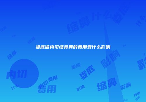 娄底做内切缩鼻翼的费用受什么影响