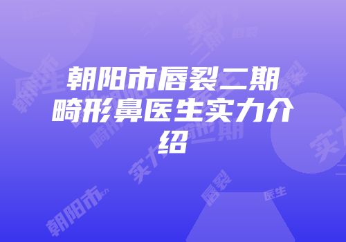 朝阳市唇裂二期畸形鼻医生实力介绍