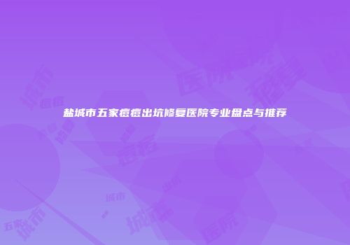 盐城市五家痘痘出坑修复医院专业盘点与推荐
