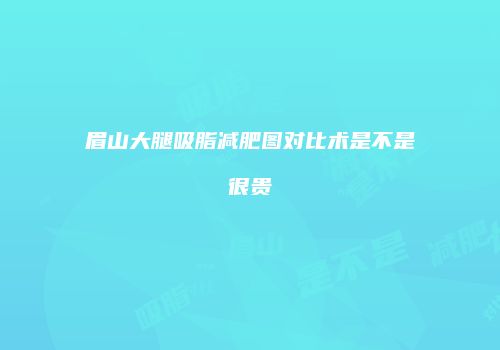 眉山大腿吸脂减肥图对比术是不是很贵