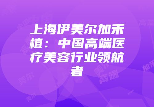 上海伊美尔加禾植：中国高端医疗美容行业领航者