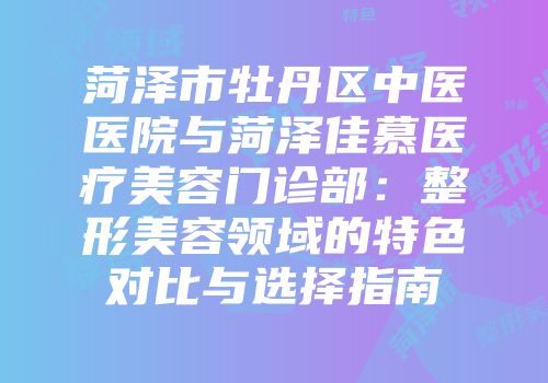 菏泽市牡丹区中医医院与菏泽佳慕医疗美容门诊部：整形美容领域的特色对比与选择指南
