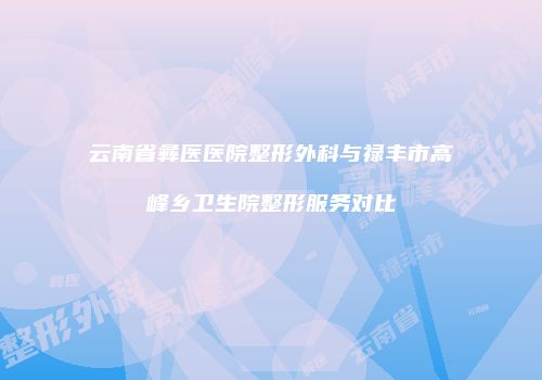 云南省彝医医院整形外科与禄丰市高峰乡卫生院整形服务对比