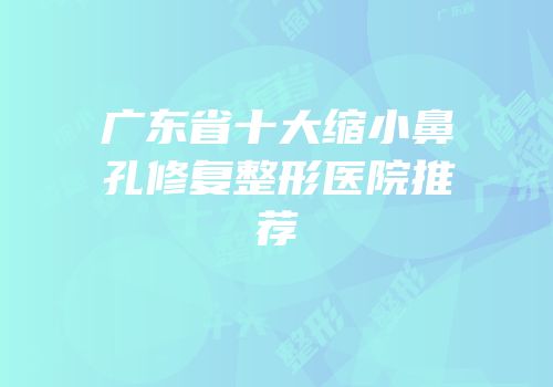 广东省十大缩小鼻孔修复整形医院推荐