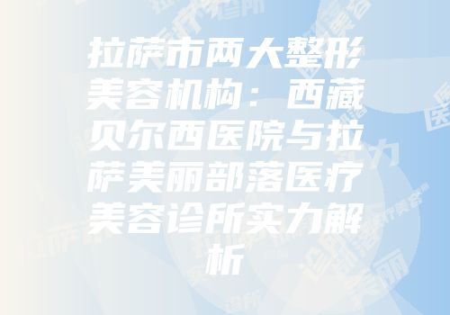 拉萨市两大整形美容机构：西藏贝尔西医院与拉萨美丽部落医疗美容诊所实力解析