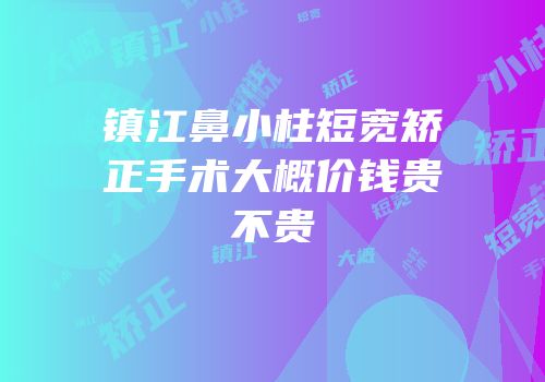 镇江鼻小柱短宽矫正手术大概价钱贵不贵