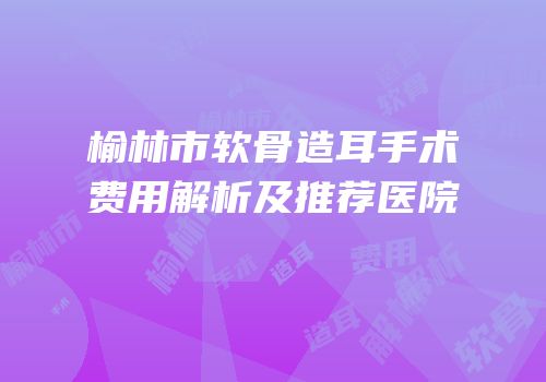 榆林市软骨造耳手术费用解析及推荐医院