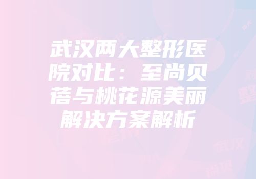 武汉两大整形医院对比：至尚贝蓓与桃花源美丽解决方案解析
