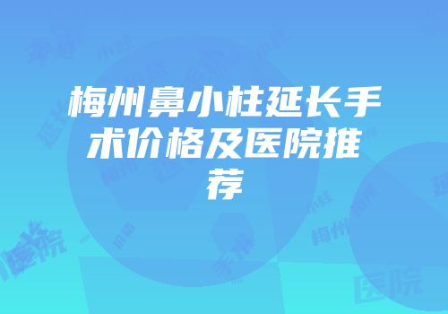 梅州鼻小柱延长手术价格及医院推荐
