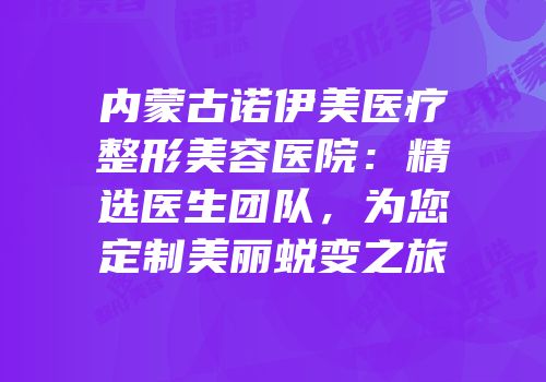 内蒙古诺伊美医疗整形美容医院：精选医生团队，为您定制美丽蜕变之旅
