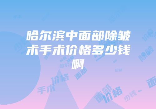 哈尔滨中面部除皱术手术价格多少钱啊