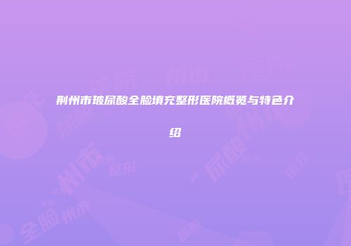 荆州市玻尿酸全脸填充整形医院概览与特色介绍