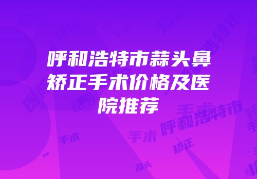 呼和浩特市蒜头鼻矫正手术价格及医院推荐