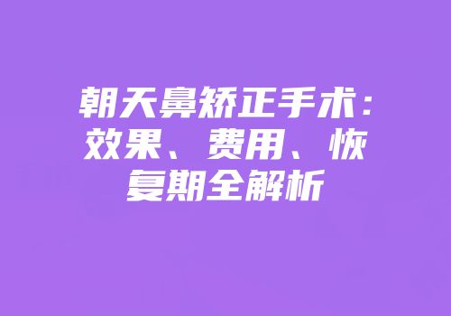 朝天鼻矫正手术：效果、费用、恢复期全解析