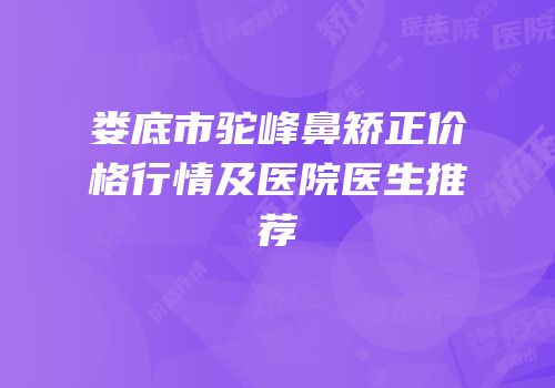 娄底市驼峰鼻矫正价格行情及医院医生推荐