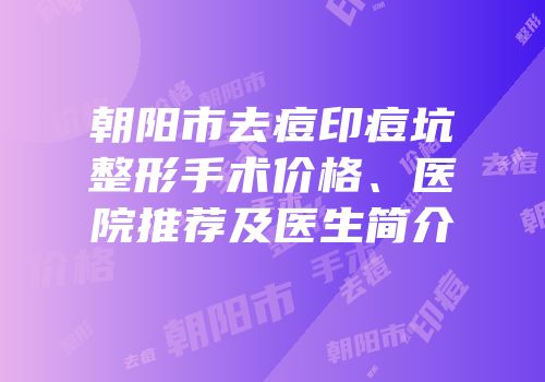 朝阳市去痘印痘坑整形手术价格、医院推荐及医生简介