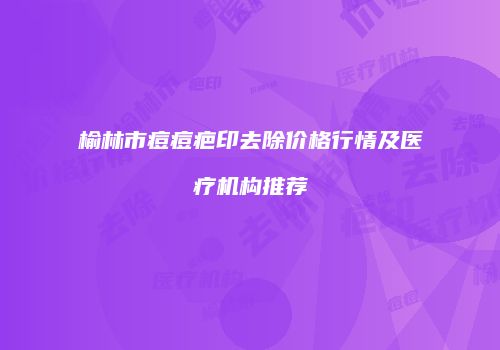 榆林市痘痘疤印去除价格行情及医疗机构推荐