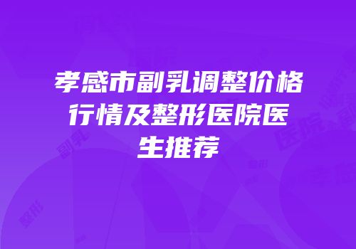 孝感市副乳调整价格行情及整形医院医生推荐