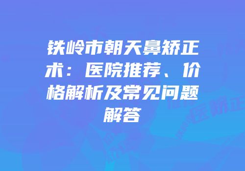 铁岭市朝天鼻矫正术：医院推荐、价格解析及常见问题解答